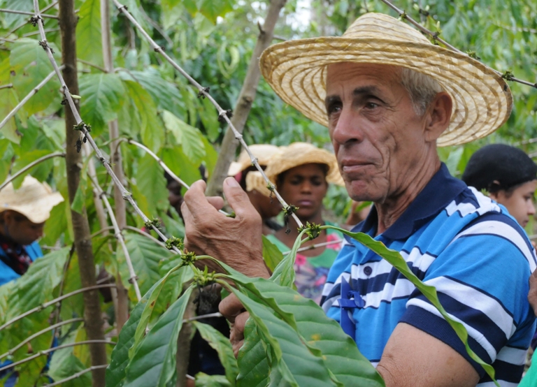 encuentro cultivo cafe2