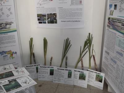 expo anir