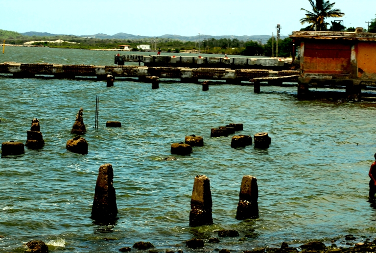 exterminio bahia3