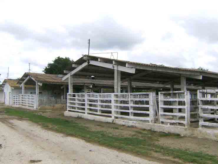 ganadería guantanamo vaqueria