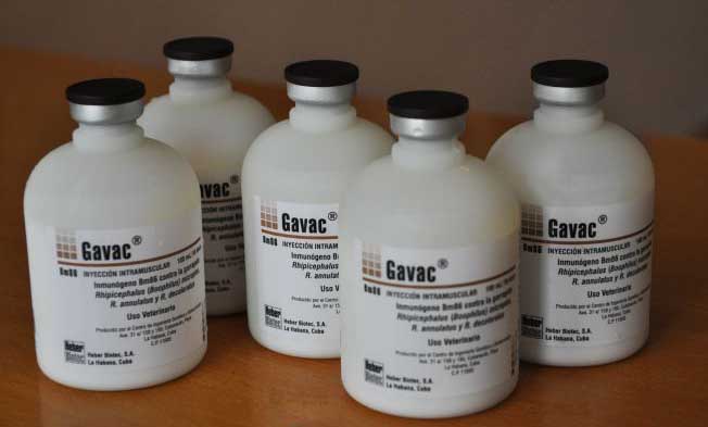 gavac home