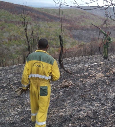 guardafronteras prevencion incendios