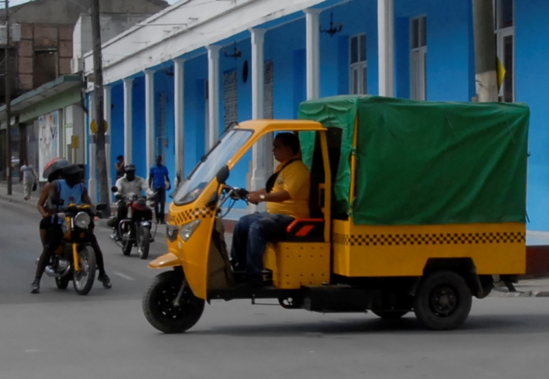 1 Cocotaxis c