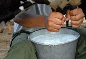 leche produccion
