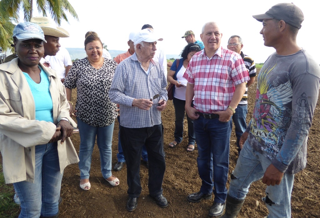 machado visita