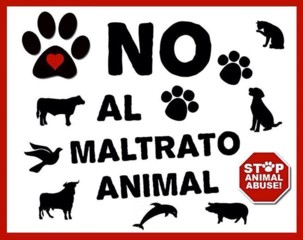 maltrato animal