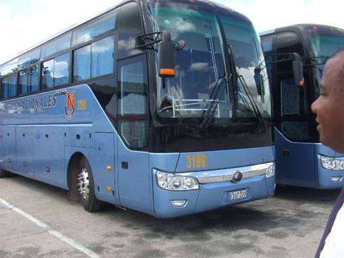 omnibus nuevo