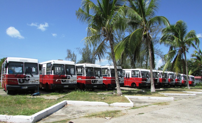 omnibus problemas transporte