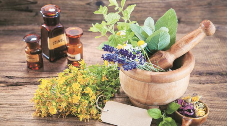 plantas medicinales