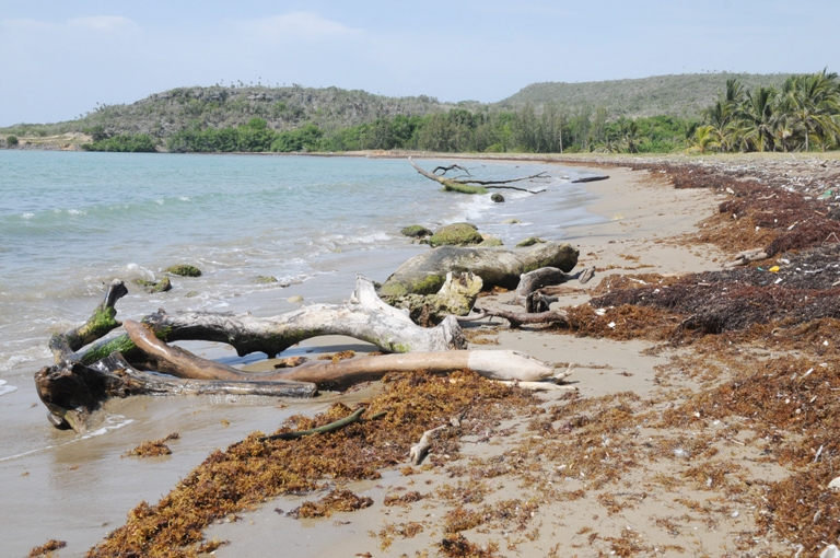 playa yateritas2