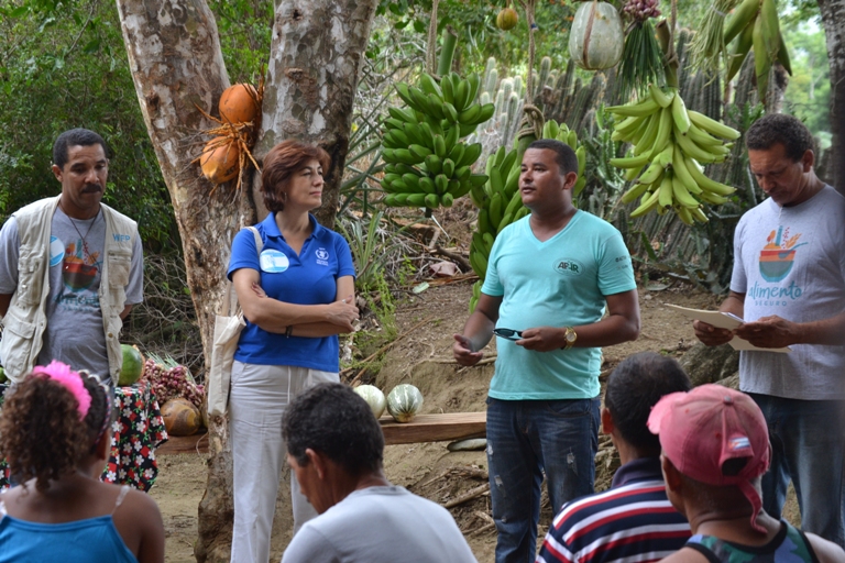pma guantanamo proyecto2