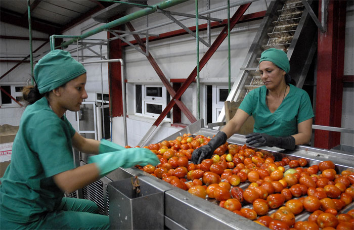 recorrido porduccion alimentos valle2
