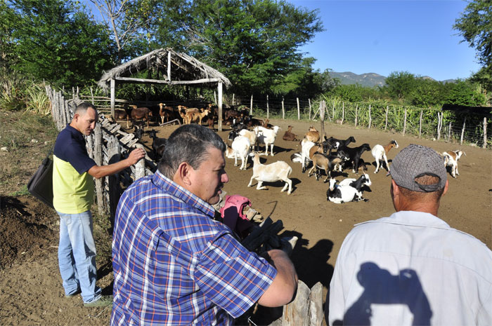 recorrido presidente anap gtmo3