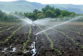 riego agricultura