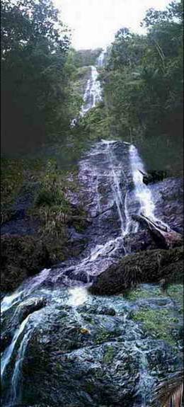 salto fino