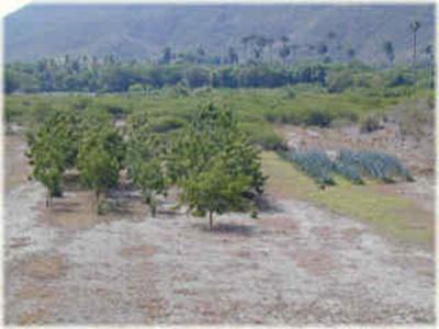 sequia guantanamo