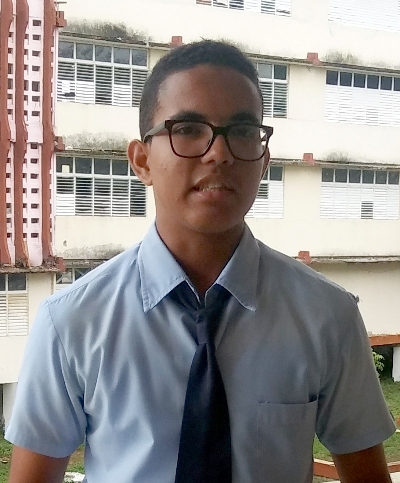 wilber reforma constitucional