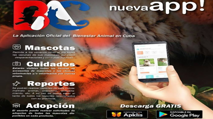 0 21 mascotas apk