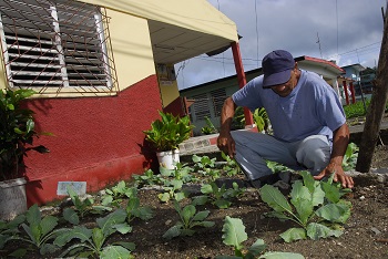 1 patio