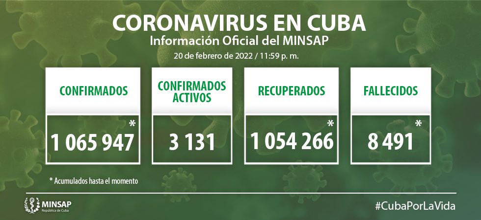 Grafico 11 1