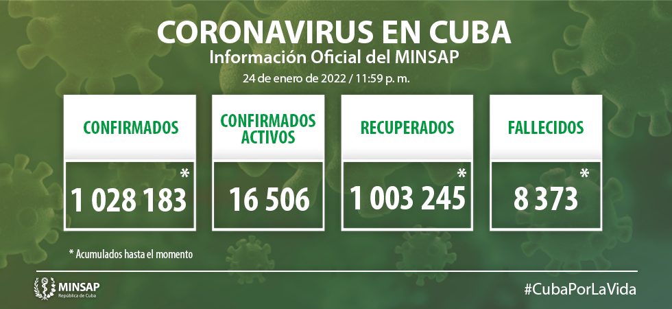 Grafico 114