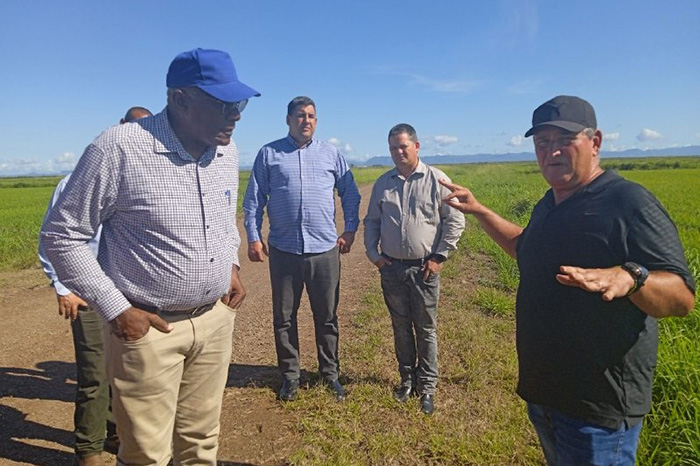 0 09 valdes mesa pinar del rio 1