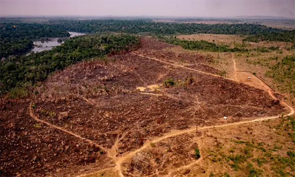 Amazonia Brasil Deforestacion 2021