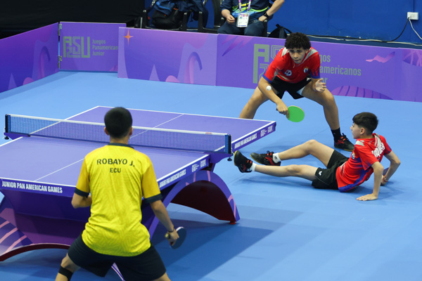 TDM DM andy alejandro