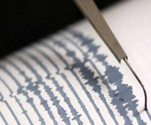 sismo 300x250