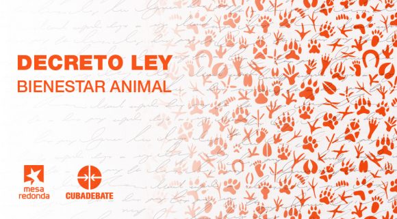 bienestar animal decreto cuba portada 940 580x321