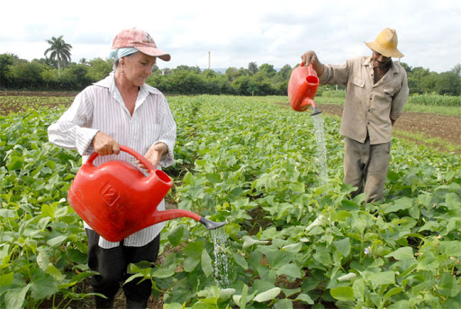 campesinos Venceremos