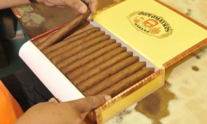 tabaco torcido cuba