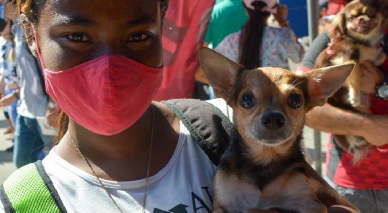 cuba celebra el dia mundial de los animales con el decreto ley sobre bienestar animal