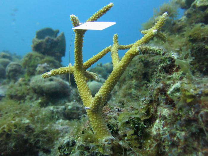 f0173397