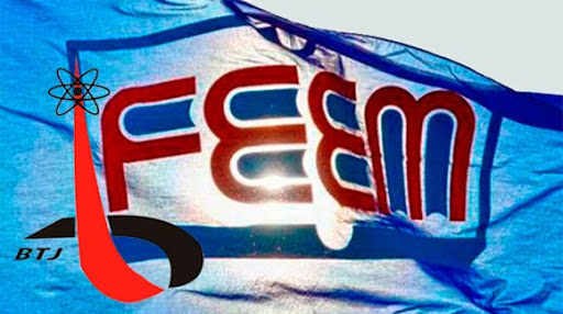 feem