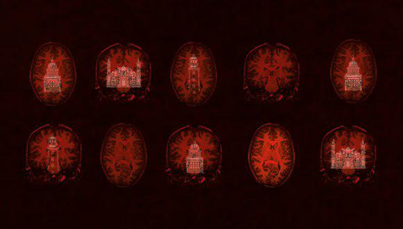 habana imagenes cerebrales
