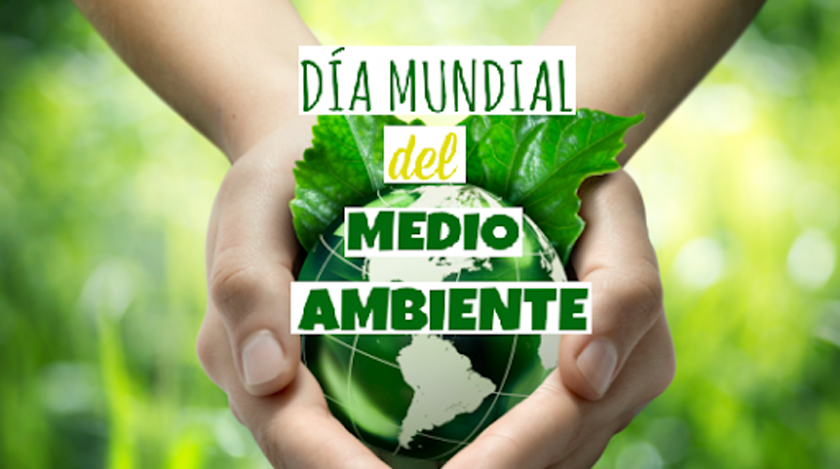 0529 ambiente