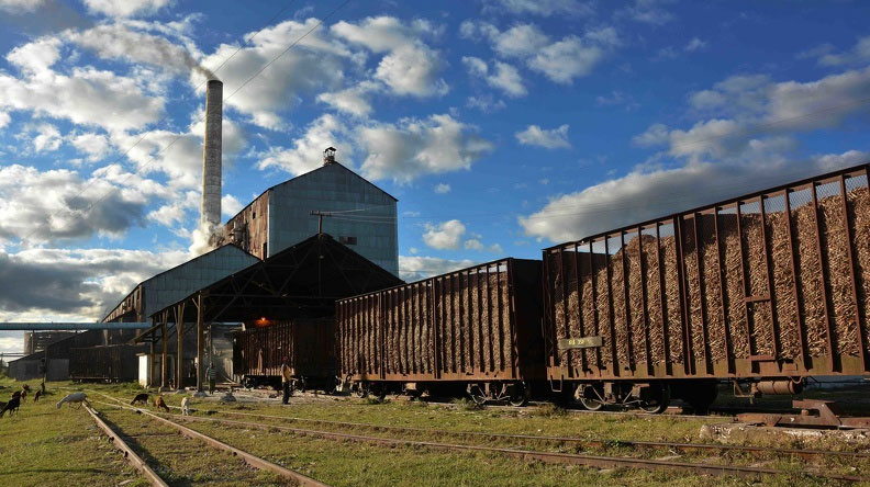 1008 industria azucarera