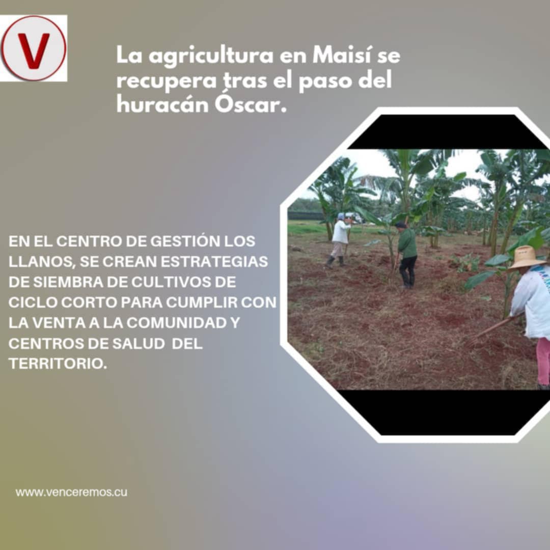infografia maisi1