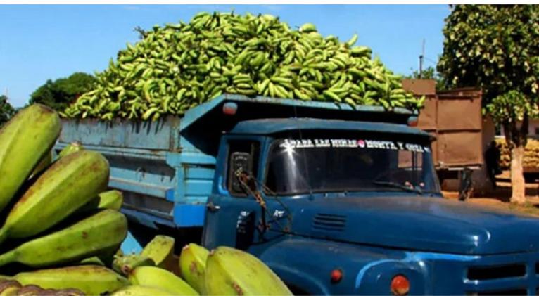 adoptan en cuba nuevos prec