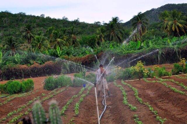 agricultura sostenible e1696763203918