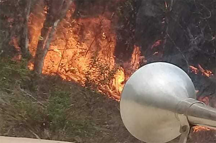 OCV7 81292761 parque humbolt incendio