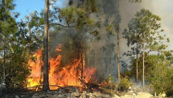 incendios forestales