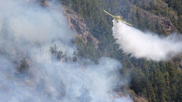 incendios forest arg