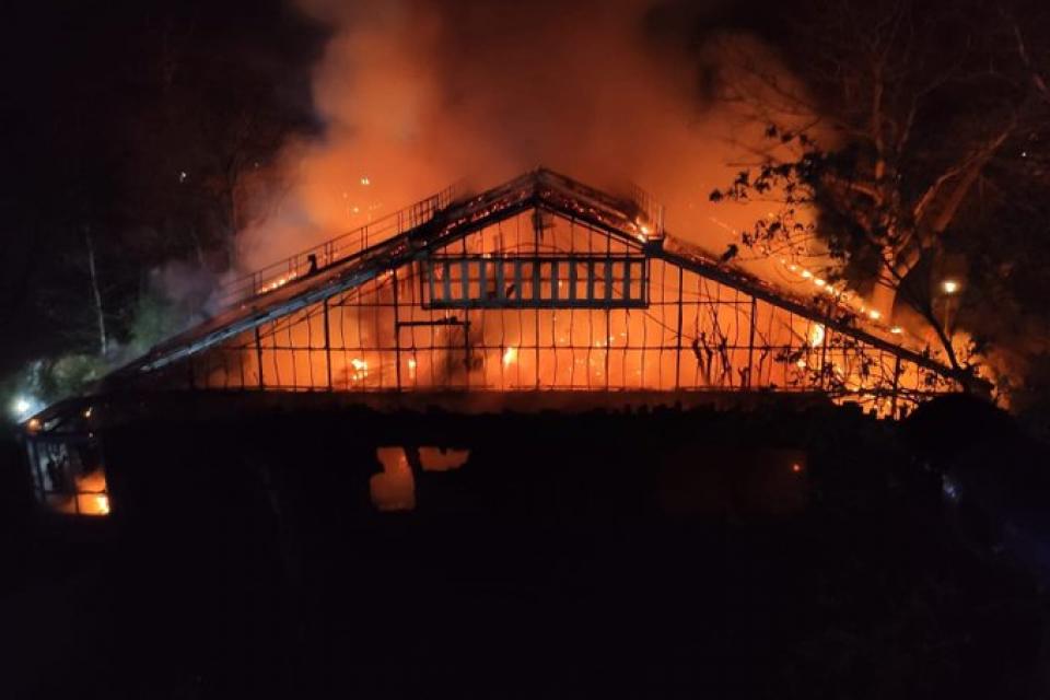incendio en zoológico