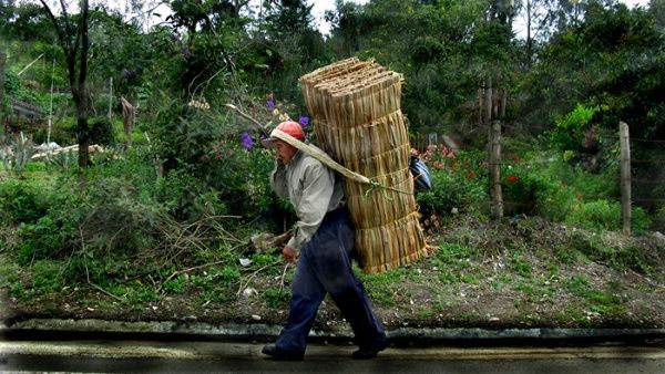 1colombia lideres campesinos