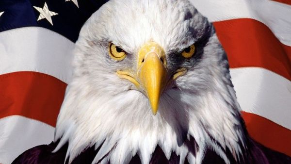 1estados unidos