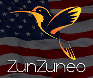 1zunzuneo1