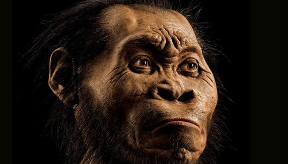 Asi-deberia-haber-sido-el-rostro-de-un-Homo-naledi