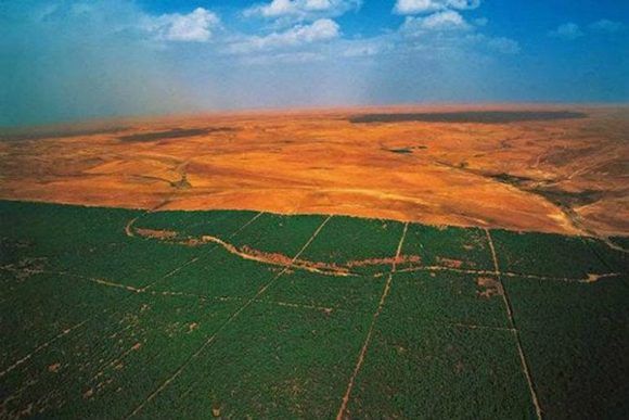 Gran muralla verde en africa